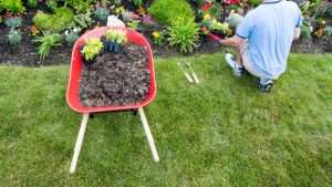 Landscaping Dripsey County Cork